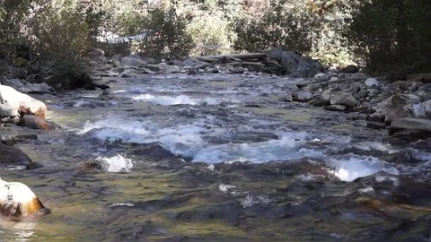 Mountain river on the way to the Chagri monastery. Bhutan 스톡 동영상 84124951