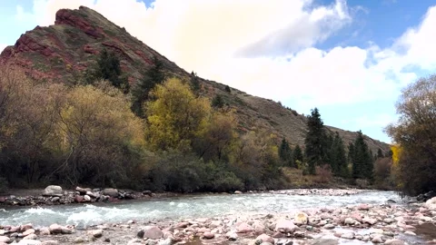 Mountain river in which trout live Stock Footage 288352951