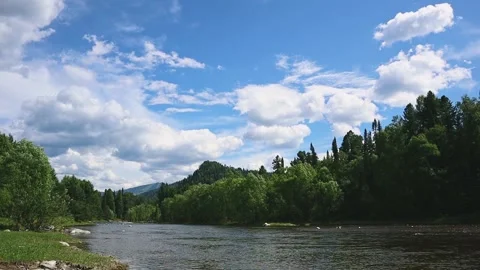 Mountain river in the wild. A beautiful view of the picturesque river Stock Footage 249446659