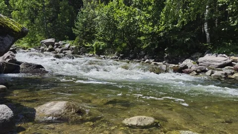 Mountain river in the wild. Beautiful view of the picturesque river. Video stock 249446798