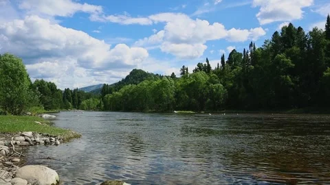 Mountain river in the wild. A beautiful view of the picturesque river Stock Footage 250386827