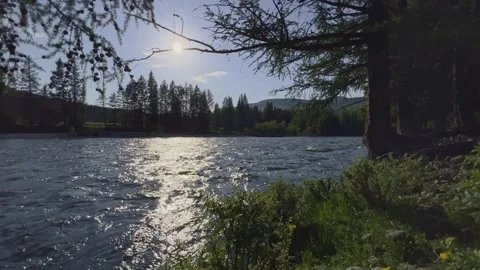 Mountain river in the wild. Beautiful view of the picturesque river Stock Footage 251659834