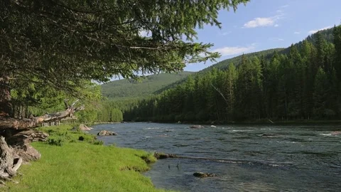 Mountain river in the wild. A clear stream of water flowing through stone Stock-Footage 247574494
