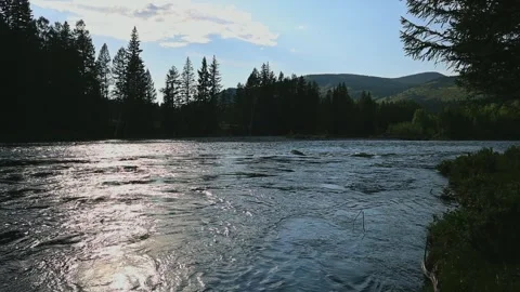 Mountain river in the wild. A clear stream of water flowing through stone Stock-Footage 247574842