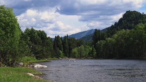 Mountain river in the wild. A clear stream of water flowing through stone Video stock 247645137