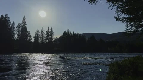Mountain river in the wild. A clear stream of water flowing through stone Stock-Footage 247777786