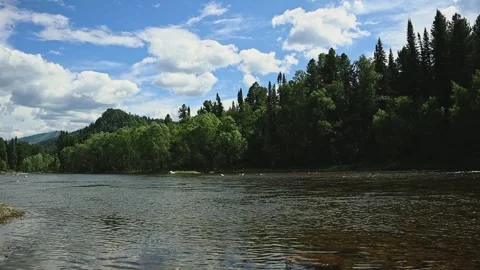 Mountain river in the wild. A clear stream of water flowing through stone Stock-Footage 247778265