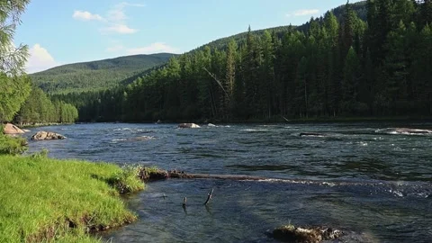 Mountain river in the wild. A clear stream of water flowing through stone Stock Footage 247778312
