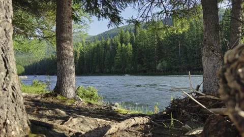 Mountain river in the wild. A clear stream of water flowing through stone Stock-Footage 247843013