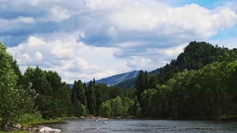 Mountain river in the wild. A clear stream of water flowing through stone Stock-Footage 248308041