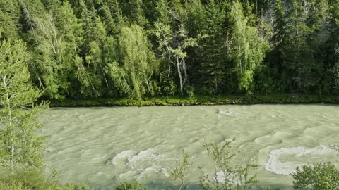 Mountain river in the wild. A clear stream of water flowing through stone Stock-Footage 248308360