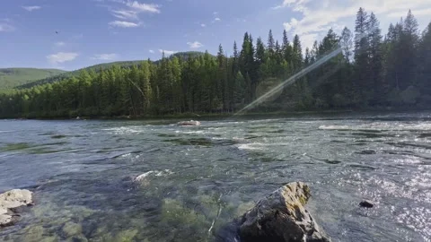 Mountain river in the wild. A clear stream of water flowing through stone Video stock 248308584