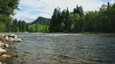Mountain river in the wild. A clear stream of water flowing through stone Stock-Footage 248308856