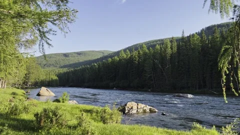 Mountain river in the wild. A clear stream of water flowing through stone Stock-Footage 248309341