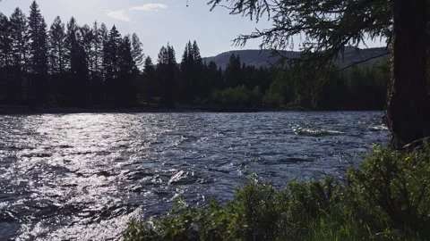 Mountain river in the wild. A clear stream of water flowing through stone Stock-Footage 248309419