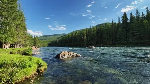 Mountain river in the wild. A clear stream of water flowing through stone Stock-Footage 248505276