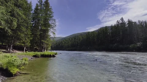 Mountain river in the wild. A clear stream of water flowing through stone Stock-Footage 250382869