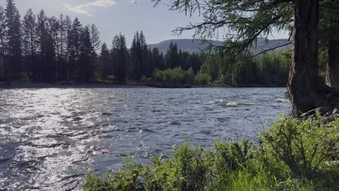 Mountain river in the wild. A clear stream of water flowing through stone Stock-Footage 250383056