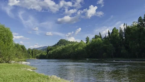 Mountain river in the wild. A clear stream of water flowing through stone Stock-Footage 250384073