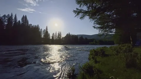 Mountain river in the wild. A clear stream of water flowing through stone Stock-Footage 250386903