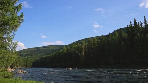 Mountain river in the wild. A clear stream of water flowing through stone 動画素材 251659673