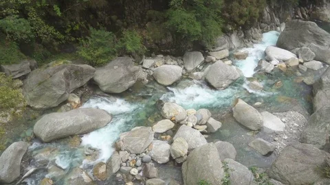 Mountain river in a wild forest Stock Footage 84522780