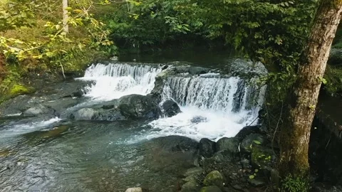Mountain river in the wild. Waterfall in the forest on a sunny magical morning Video stock 243304766