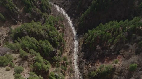 Mountain river winding through forested canyon Stock Footage 310870108