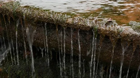 Mountain river in winter. Stock Footage 73293018