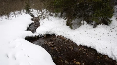 Mountain river in winter. Stock Footage 73297853