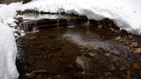 Mountain river in winter. Stock Footage 73297899