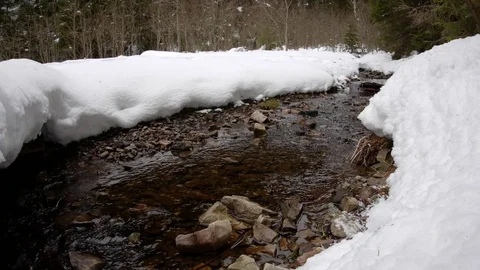 Mountain river in winter. Stock Footage 73297904