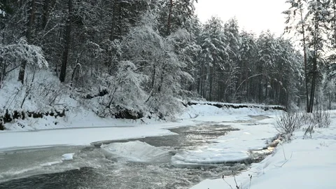 Mountain river in winter. Video stock 121899705