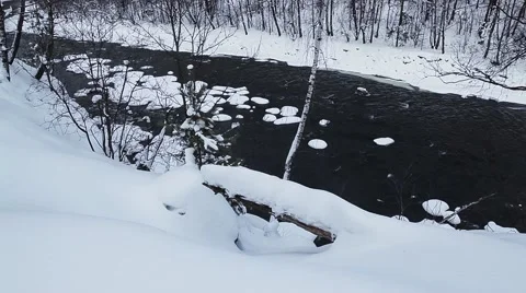 Mountain River in the winter forest Video stock 64465223