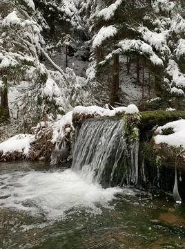 Mountain river in the winter forest. Mountain river stream in a snowy forest. Stock Photos