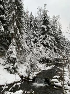 Mountain river in the winter forest. Mountain river stream in a snowy forest. Stock Photos