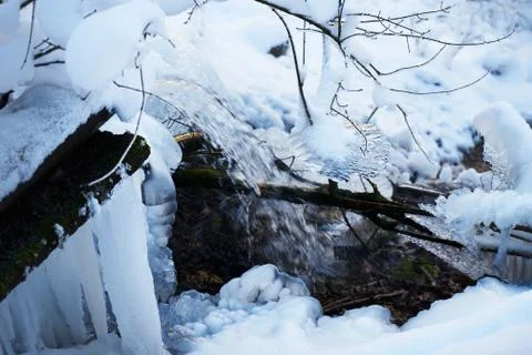 Mountain river in the winter forest. Stock Photos