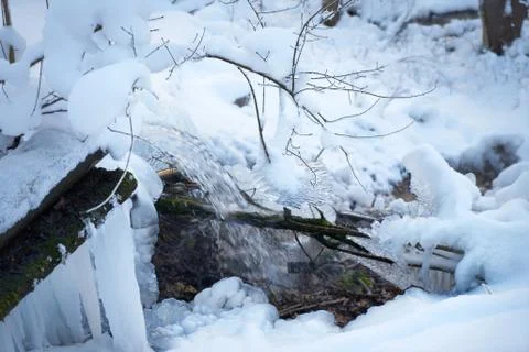 Mountain river in the winter forest. Stock Photos
