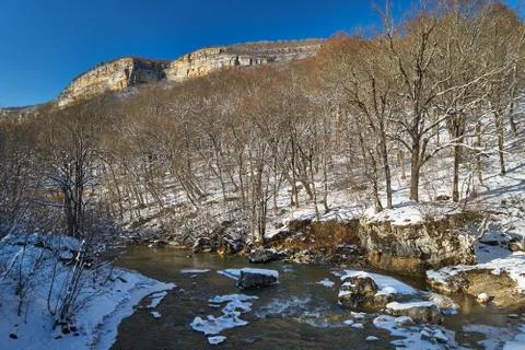 Mountain river in the winter forest. Stock Photos