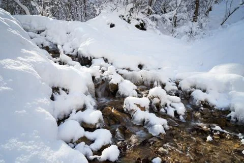 Mountain river in the winter forest. Stock Photos