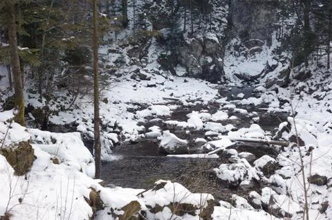 Mountain river in the winter 写真素材