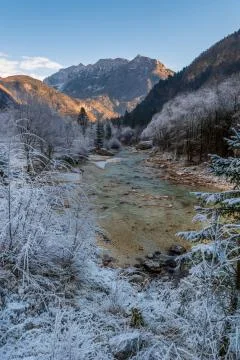 Mountain river in winter. Stock Photos