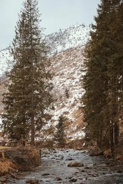 Mountain river in winter Stock Photos