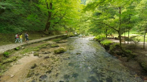 Mountain River in the wood Stock Footage 64752960