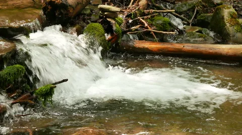 Mountain  river  in wood with  log close up.   Landscape in  4K 3840x2160.  Stockbeeldmateriaal 53821095