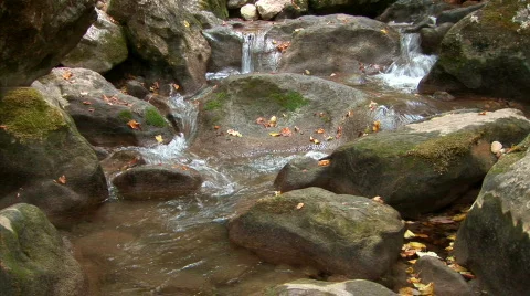 Mountain river in the woods 1 Stock Footage 525411