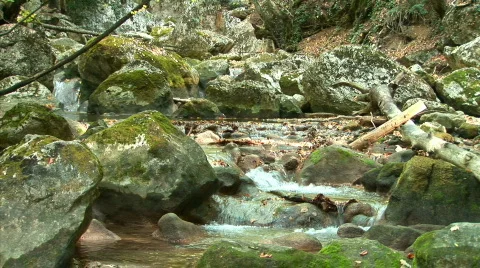 Mountain river in the woods-5 Stock Footage 526102
