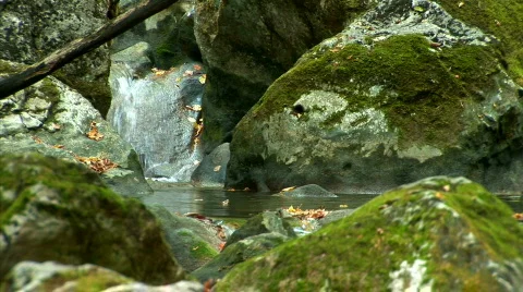 Mountain river in the woods Stock Footage 524846