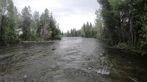 Mountain river in Wyoming Video stock 149075044