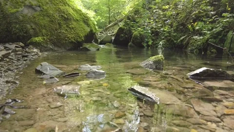 Mountain river5 Video stock 312910976